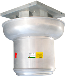 RCD-D